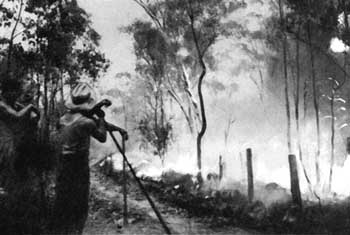 1951 bushfire